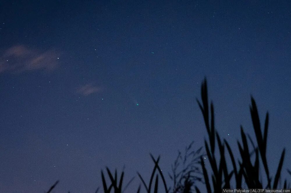 Мкс с земли невооруженным глазом. Комета panstarrs. Комета видимая невооруженным глазом. Долгопериодические кометы. Комета c/2022 e3 (ztf).