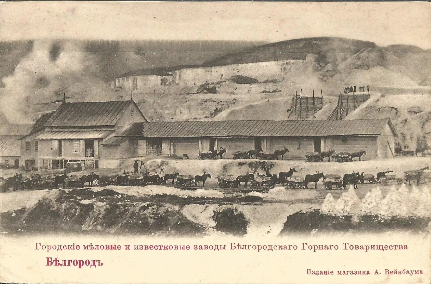 Камышитов завод белгород. Камышитовый завод белгород. меловой завод белгород. открытка дореволюционная завод. горные товарищества.