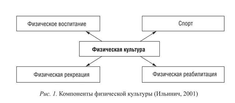 Компоненты физической культуры. Основные элементы физической культуры. Ценности физической культуры, в системе общекультурных ценностей. Компоненты ФК.