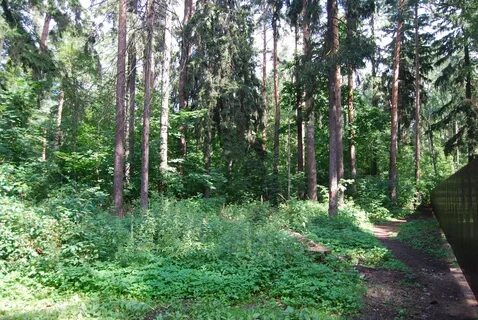 Малаховка красково