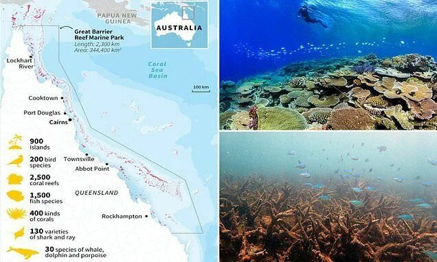 Где риф. Большой Барьерный риф на карте Австралии. Барьерный риф в Австралии на карте. Острова большого барьерного рифа на карте. Большой Барьерный риф национальный парк на карте.