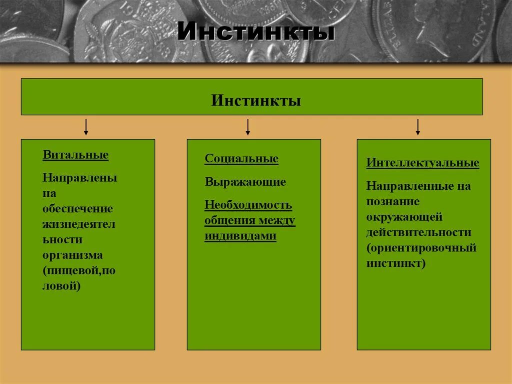 Приобретенный инстинкт. Инстинкты человека список. Базовые инстинкты человека. Примеры инстинктов у человека. Примеры инчтмнкта человека.