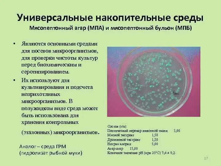 При резких изменениях температуры бактериальная клетка образует. Питательная среда мясо пептонный агар. Питательные среды микробиология мясо пептонный агар. МПБ мясо-пептонный бульон МПА мясопептонный агар. Мясопептонный бульон микробиология.