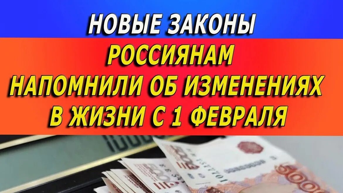 Новый закон 5. Новые законы. Новые законы февраля. Какие законы вступают в силу с 1 февраля. Новое в законодательстве в феврале.