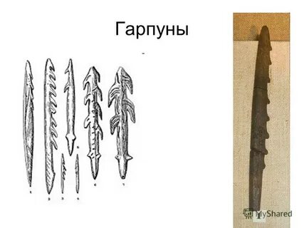 Орудия труда гарпун