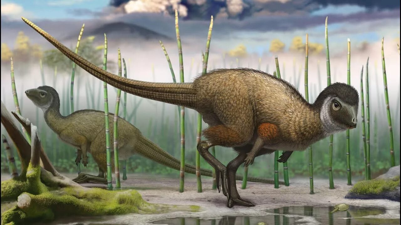 Кулиндадромеус Забайкальский динозавр. Тираннозавр Атучин.
