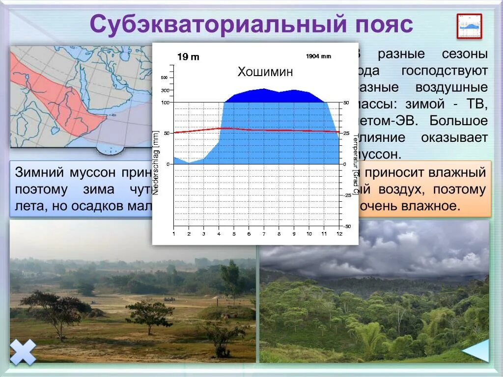 Субэкваториальный климатический пояс Евразии. Тип климата субэкваториального пояса Евразии. Субэкваториальный пояс климат. Субэкваториальный пояс осадки. Режим осадков экваториального