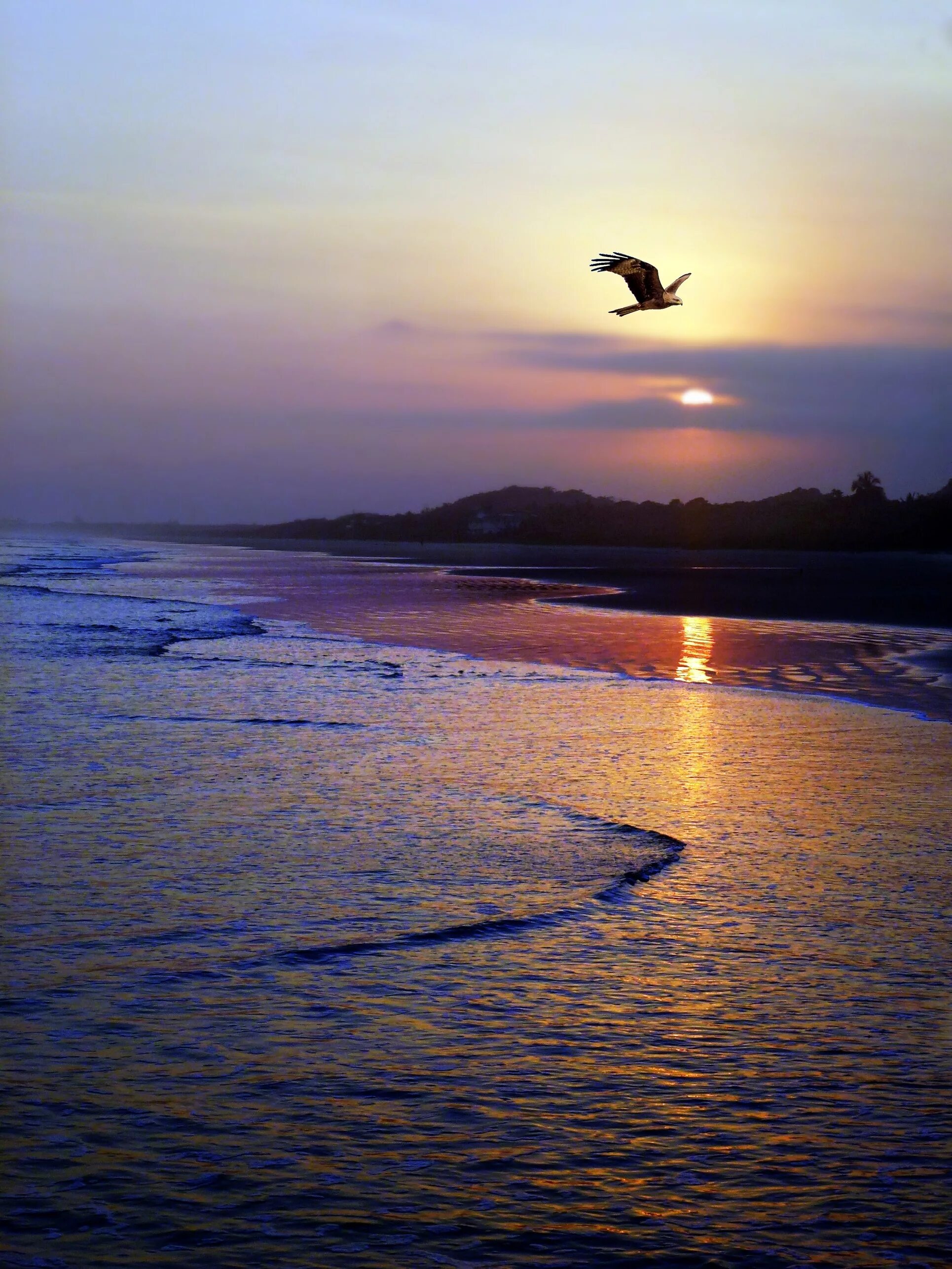 Дни летят за рассветом закат слушать. Закат над морем. Море птицы. Вечер на море. Птицы над морем.
