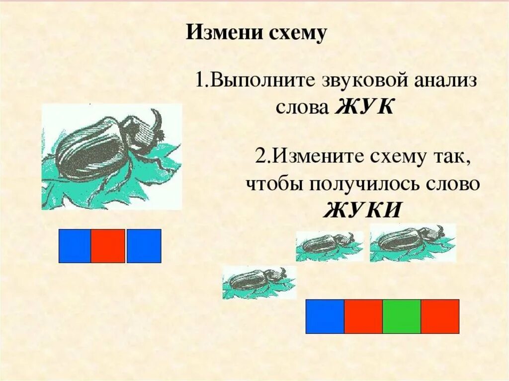 Согласные звуки в слове жук. Звуковой анализ. Звуковая схема. Схема слова. Звуковые схемы на ж.