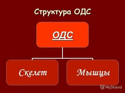 Одс расшифровка