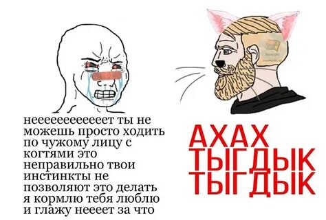 Неверный не твои дети
