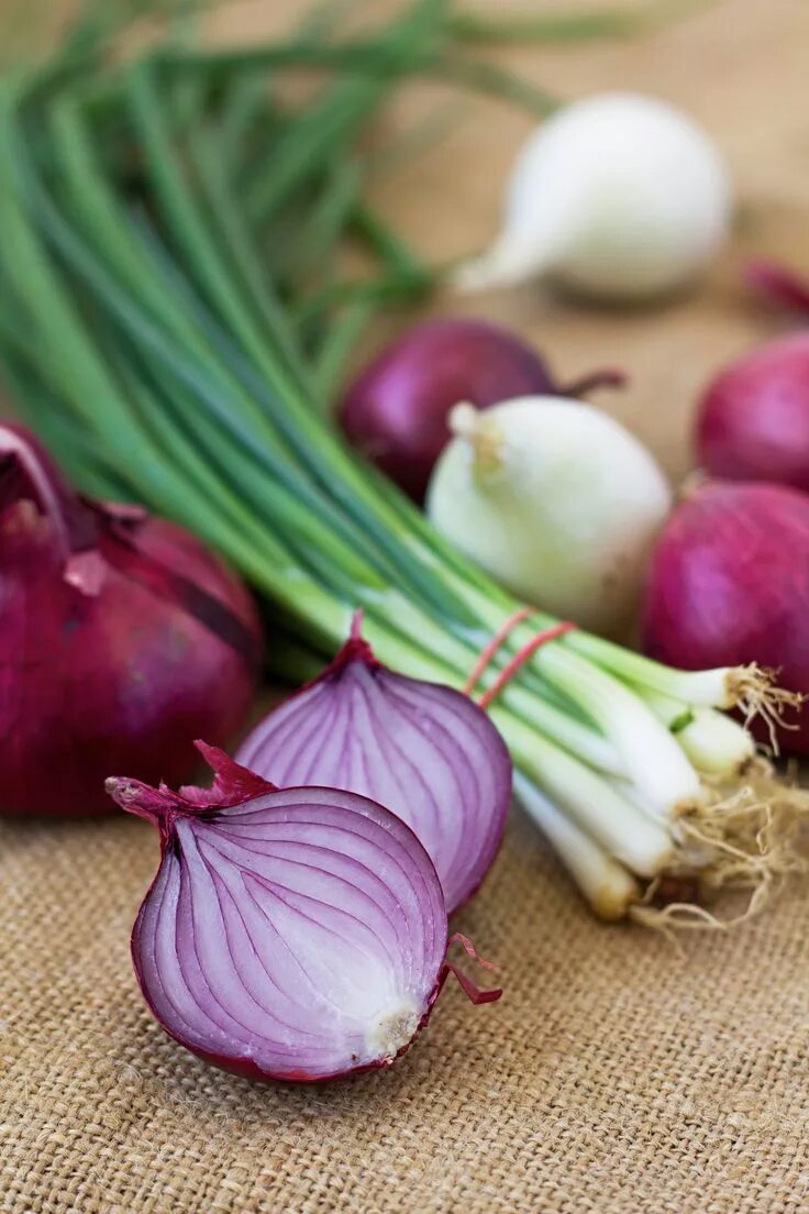 Onion vegetables. Лук цибуля. Л. Луюк. Лу.