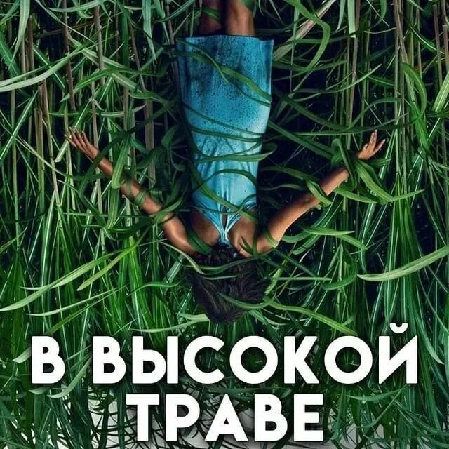 В высокой траве фильм. Высокая зеленая трава 2019. В высокой траве фильм 2019. В высокой траве фильм 2019 кадры. Высокая зеленая трава 2019.