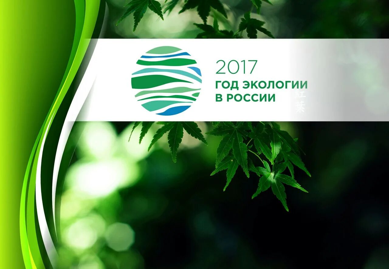 государственный доклад о состоянии окружающей среды. охрана окружающая среда. охрана природы вологодской области. государственный доклад о состоянии окружающей среды рф. экология в инфографике.