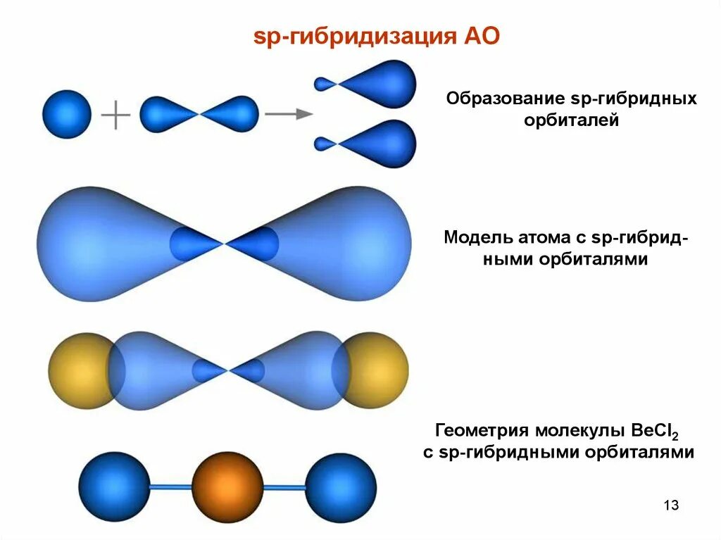 Образование гибридов