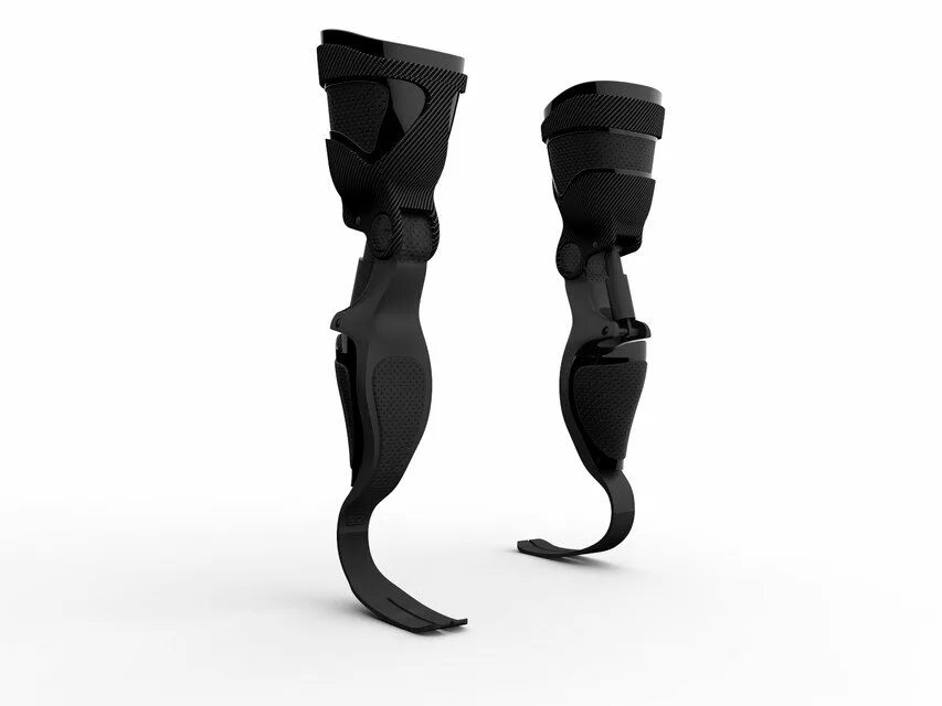 Legs 3d model