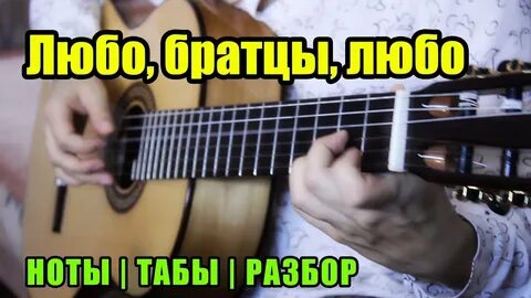 Аккорды песни любо