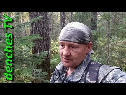 Лесные ютуб последнее