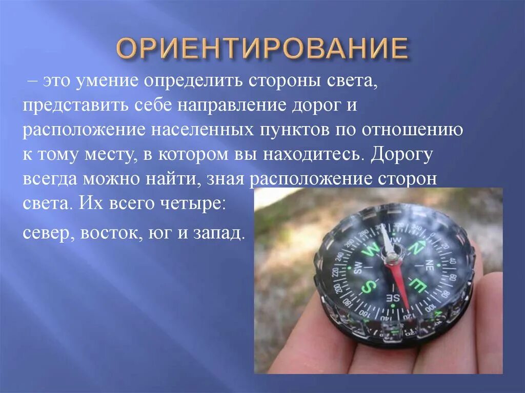 Сообщение об ориентировании. Презентация на тему ориентирование. ориентирование на местности по географии. сообщение ориентирование на местности. ориентирование это умение.