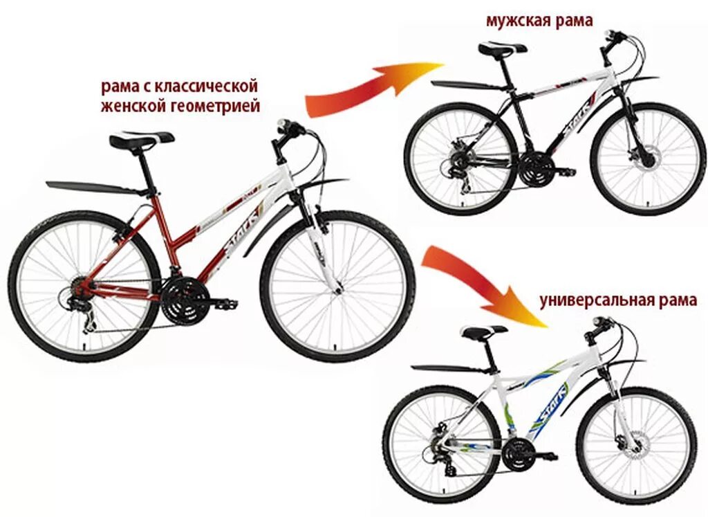 Как отличить велосипеды. Женская рама велосипеда и мужская. Мужской и женский велосипед. Мужская раса на велосипеде. Велосипед женский и мужской различия.