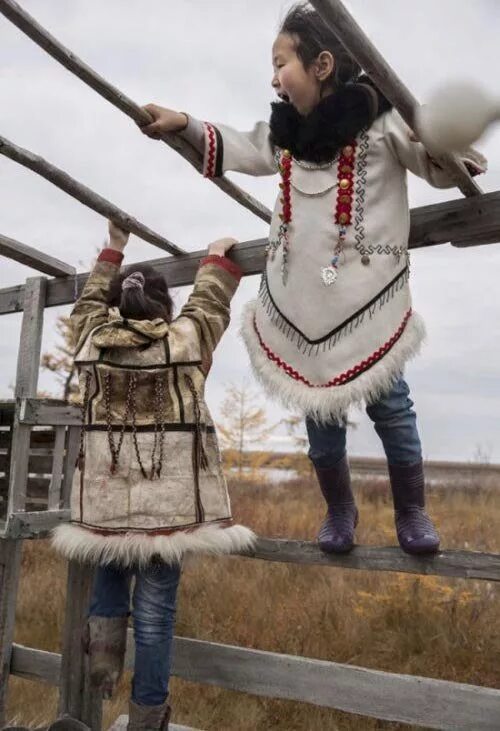 Самый большой народ сибири. Народы сибири. Коренные малочисленные народы севера хмао. Долгане, нганасане, ненцы. Самый большой народ сибири.
