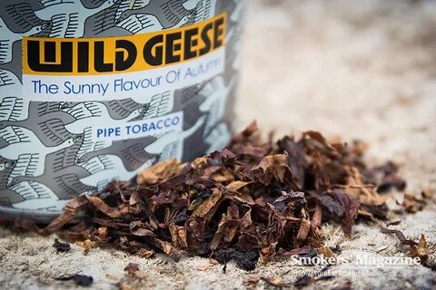 Wild tobacco