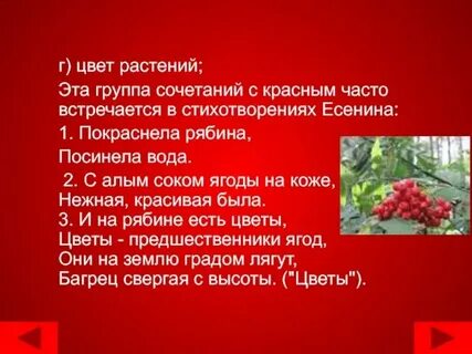 Текст песни ягода рябины горькая на вкус