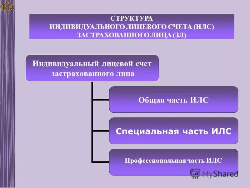 Разделы индивидуального лицевого счета застрахованного