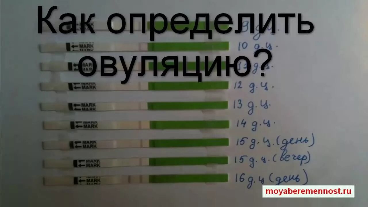 Как вести овуляцию