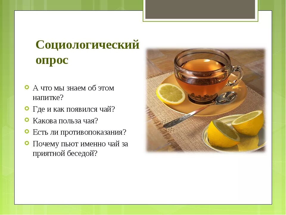 Почему пьют чай. Чай полезный напиток. Проект на тему чай. Вопросы на тему чай. Проект чай полезный напиток.