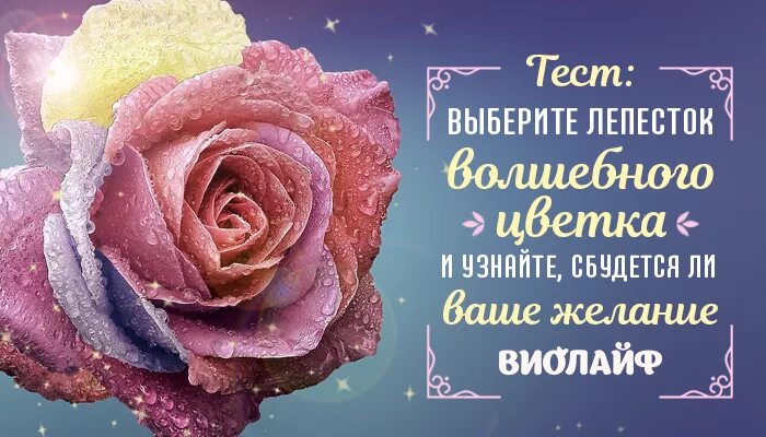 Как узнать сбудется. Выбери тест Волшебный цветок. Волшебный лепесток волшебство. Тест сбудется ли желание.