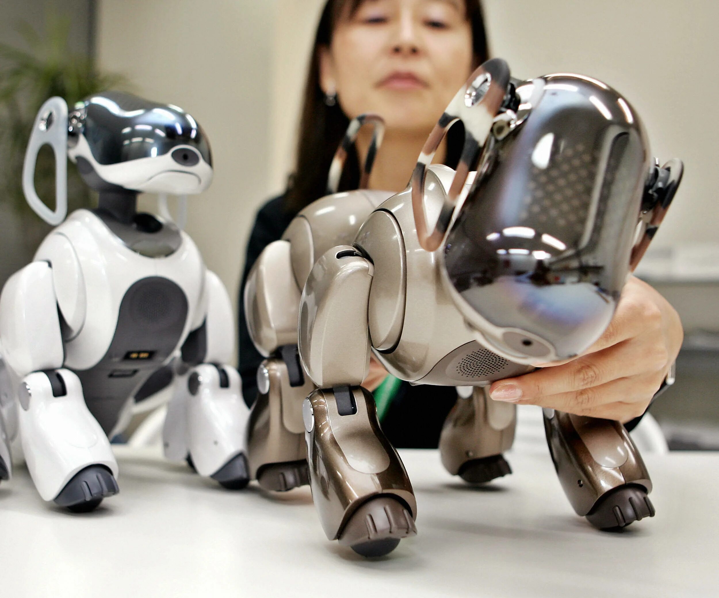 Sony Aibo 1999. Робот настоящий. Роботы. Помощники человека. Домашние роботы помощники. Роботы помощники в быту