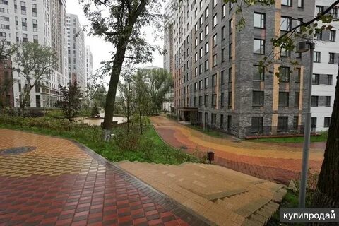 Во дворе без