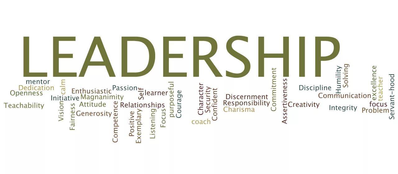 Leadership qualities. What is Leadership. What is Leadership картинки. Qualities of a good leader.