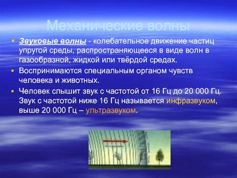 Звуковые волны являются продольными. Звуковая волна. Распространение звуковых волн в средах. Распространение акустических волн в среде. Механические и звуковые волны.