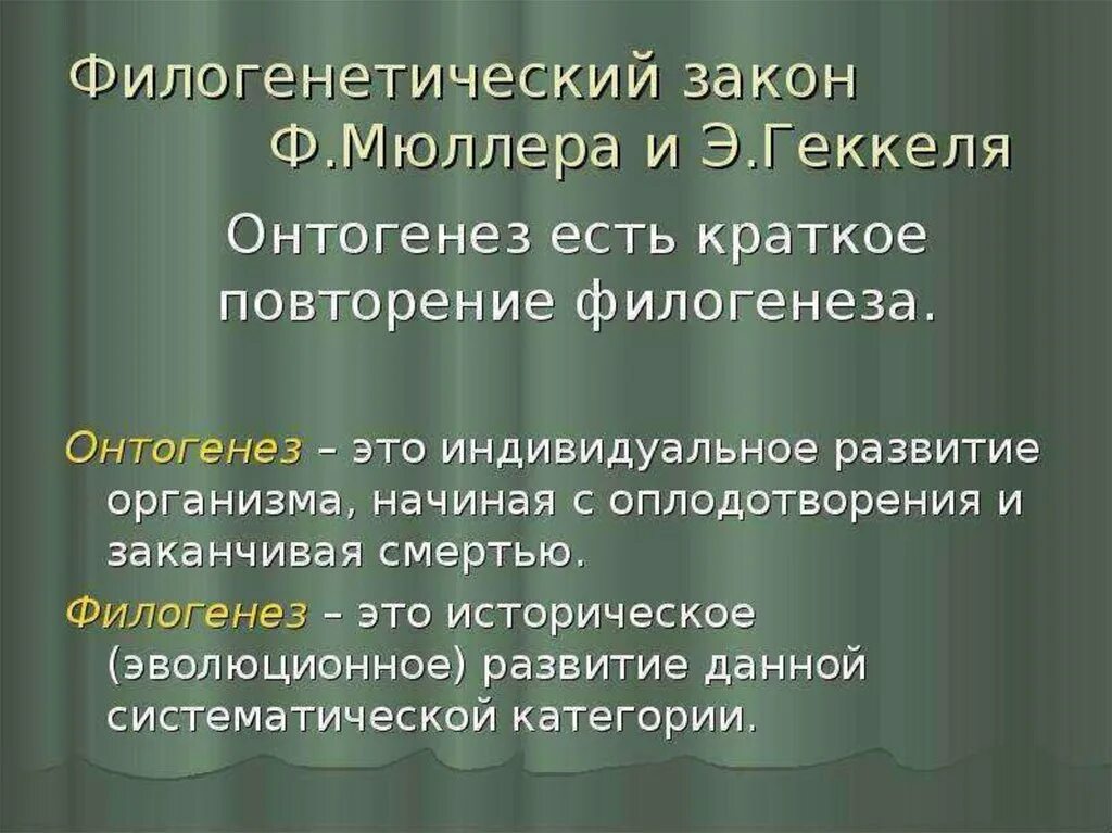 Онтогенез повторяет филогенез на примере позвоночных. Биогенетический закон Геккеля Мюллера. Онтогенез краткое повторение филогенеза. Взаимосвязь онтогенеза и филогенеза. Филогенез есть краткое повторение.