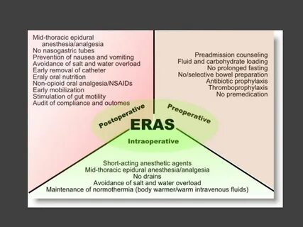 Eras society