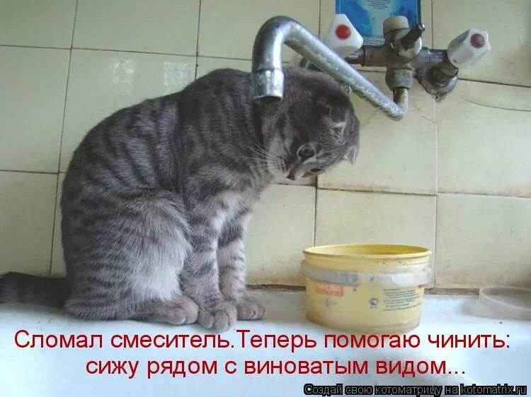 Чтобы что то починить