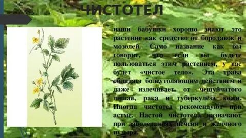 Аптека под