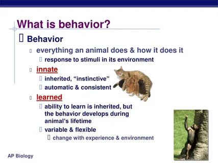 Her behaviour was