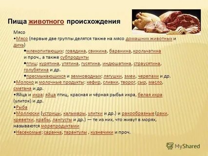 Продукты животного происхождения это какие