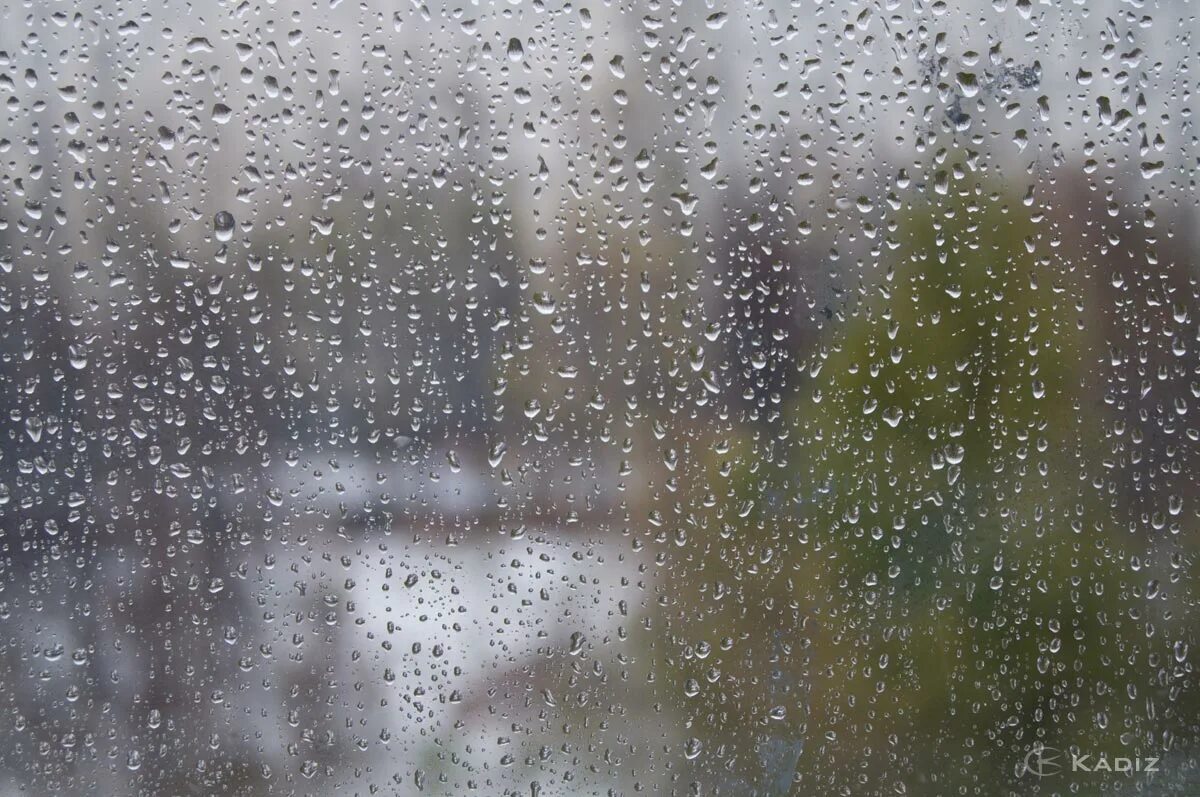 Дождь. Дождь за окном. Дождь в окне. Сильный дождь.