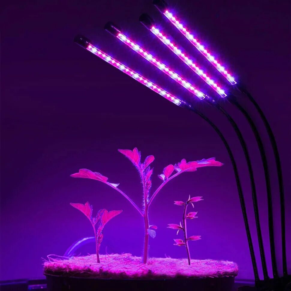 Спектр светодиодной лампы для растений. Фитолампа led grow Light. Фитолампа для растений светодиодная полный спектр. Фитолампа grow Light 40 Вт. Фитолампа огонек og-ldp08.