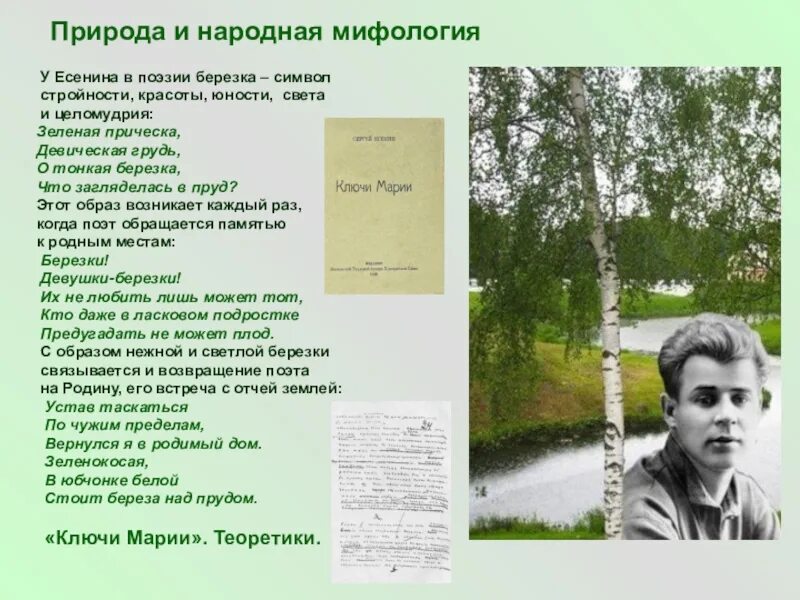 Родимый дом минус. Береза в поэзии. Образ Березки в поэзии Есенина. Стихотворение Есенина о природе. Зеленая прическа Есенин.