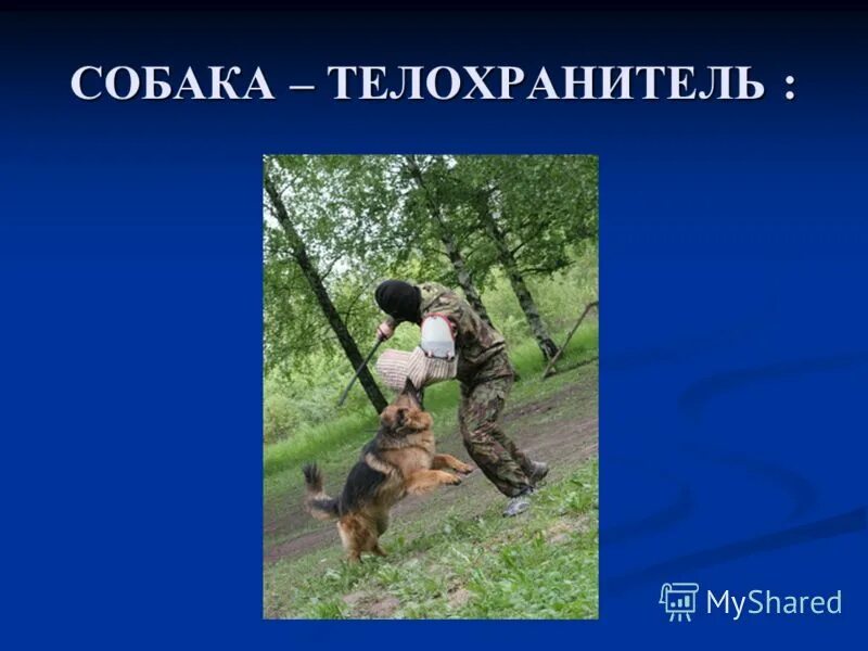 Польза собаки для человека. Какую пользу приносит собака. Польза собаки для человека. Собака помогает человеку. Собака для детей.