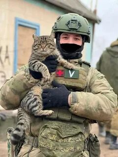 Суровые коты донбасса
