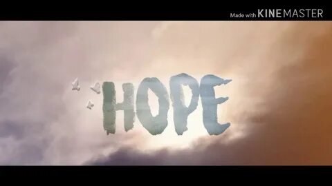 Hope on hope off