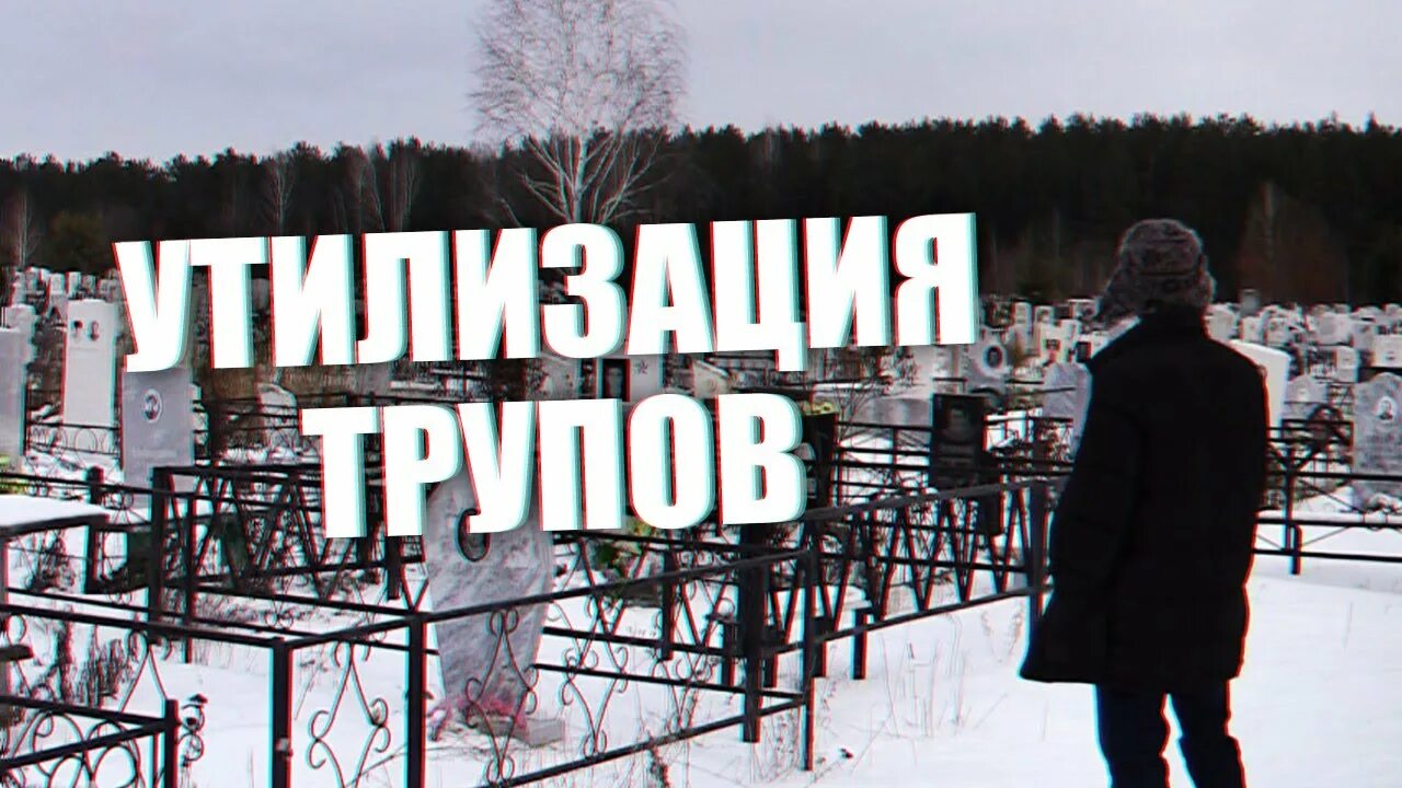 Крематорий трупов. Утилизация трупов поправки. Кремация трупов животных. Утилизация трупов охотничьих ресурсов.