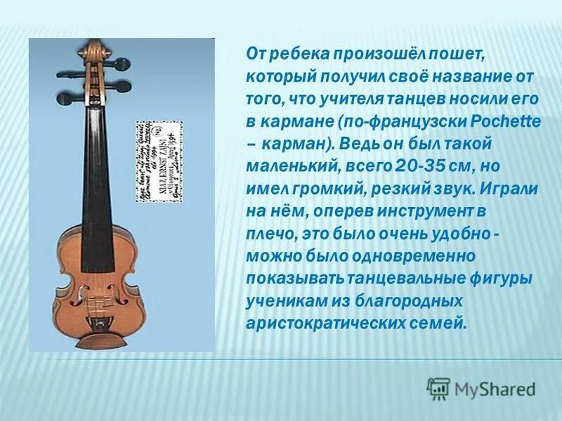 Сообщение о скрипке интересное. Главная тема скрипка. Проект скрипка для детей. Главная тема скрипка. Строение виолончели.