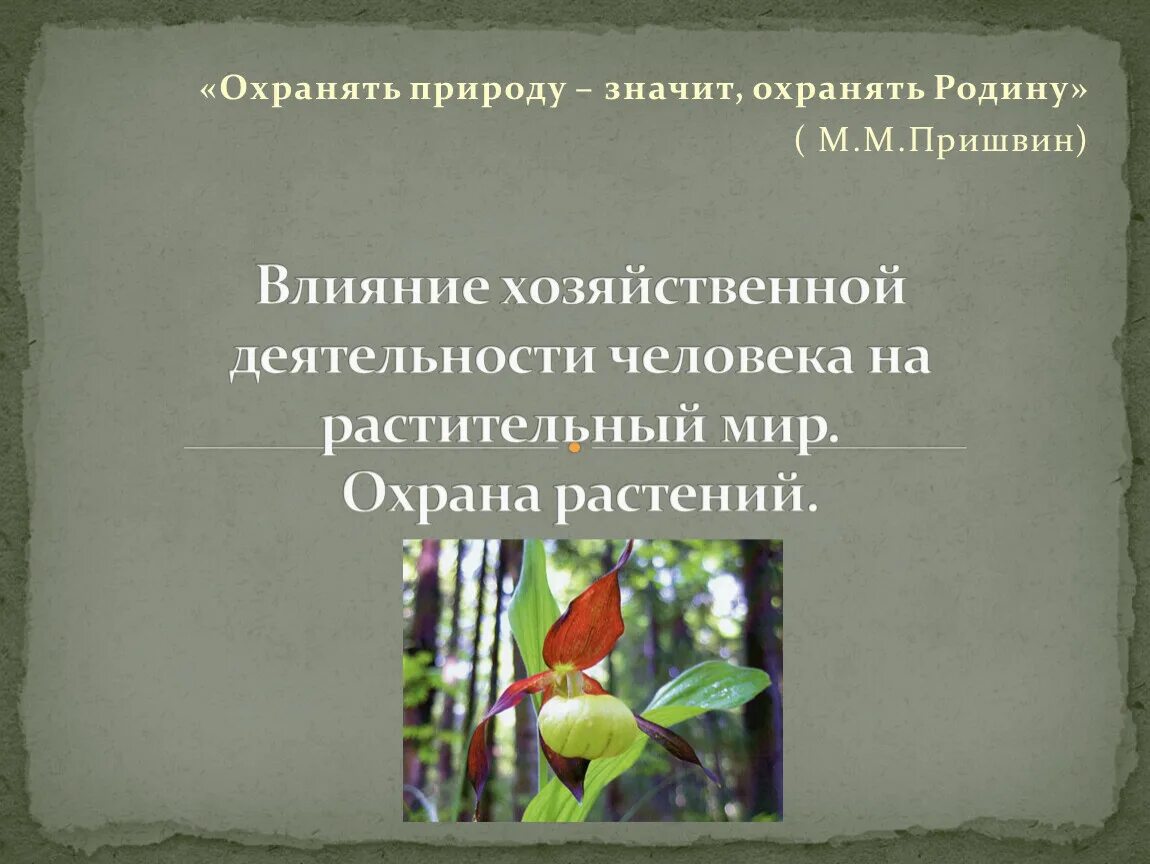 Значение в природе и хозяйственной деятельности человека. Влияние хозяйственной деятельности. Воздействие хозяйственной деятельности на растительный мир. Влияние хозяйственной деятельности человека. Влияние деятельности человека на растительный мир.